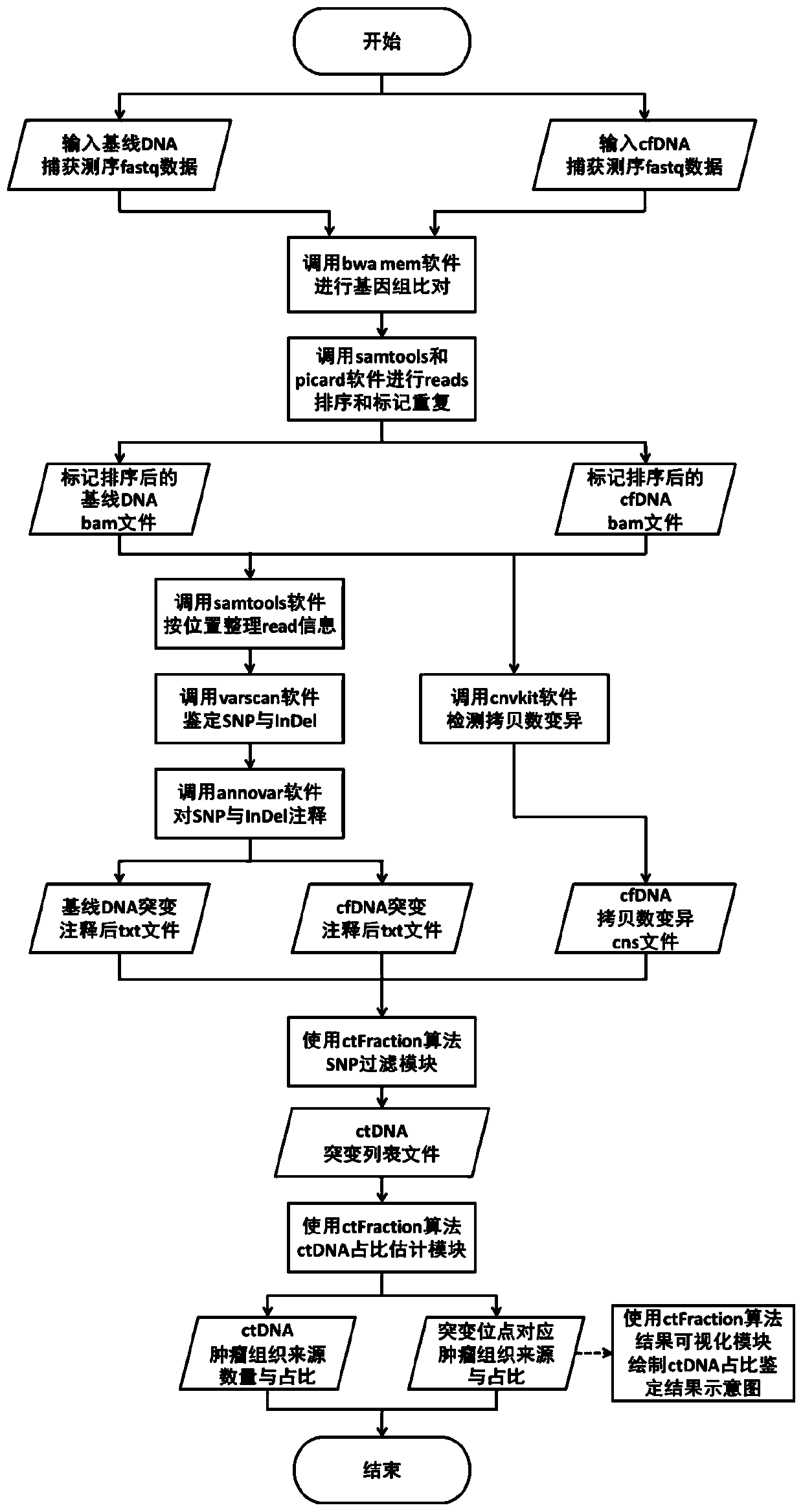 Detection method and detection device for ctDNA proportion based on capture sequencing