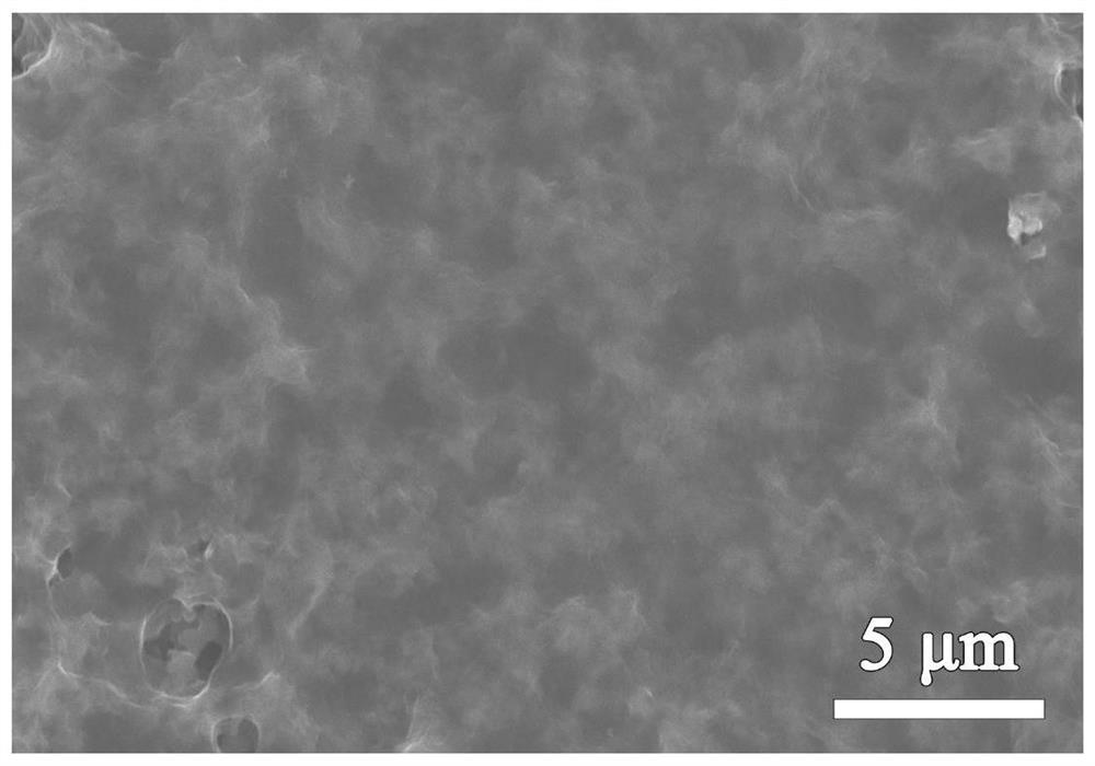 Preparation method and application of polypyrrole/phytic acid/graphene oxide composite anti-corrosion coating