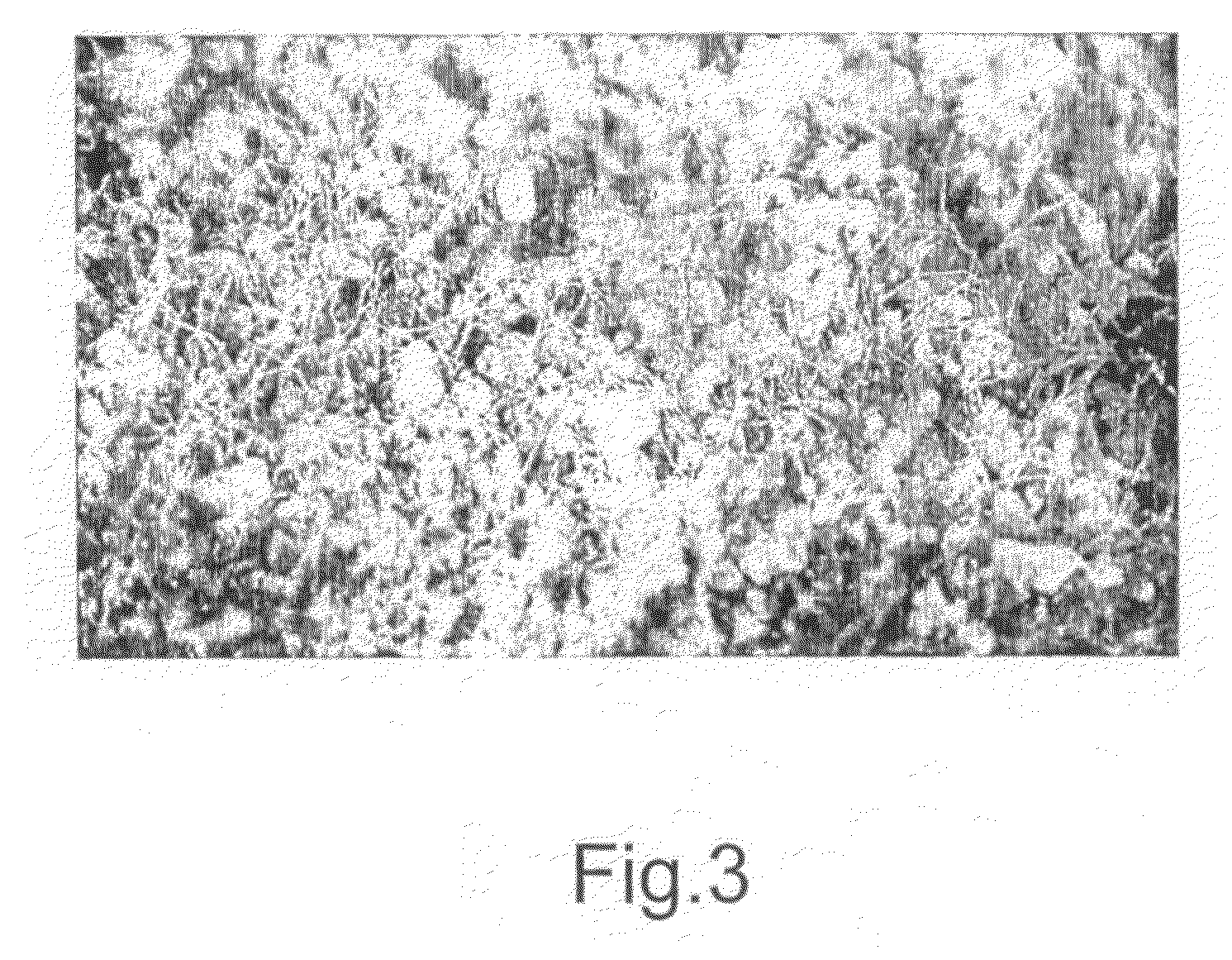 Method for promoting soil crust formation