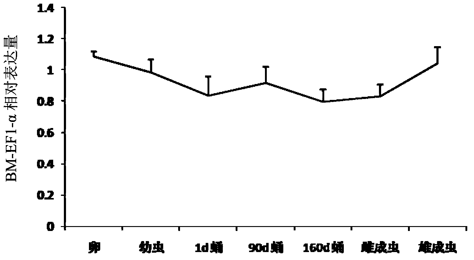 BM-EF1-alpha segment stably expressed in different development stages of bactrocera minax and application thereof