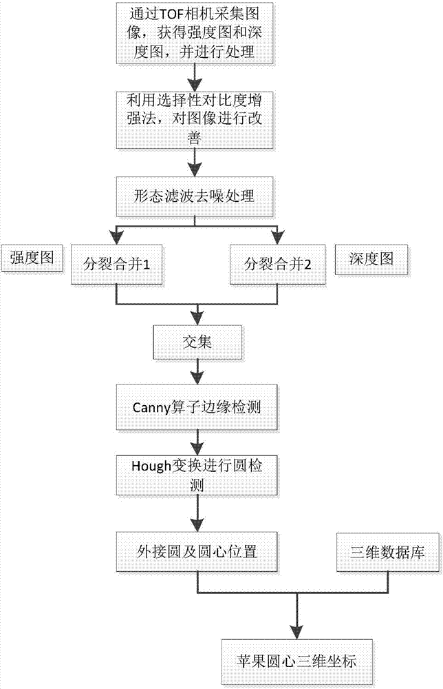 Recognition and location method for apple on tree based on TOF camera