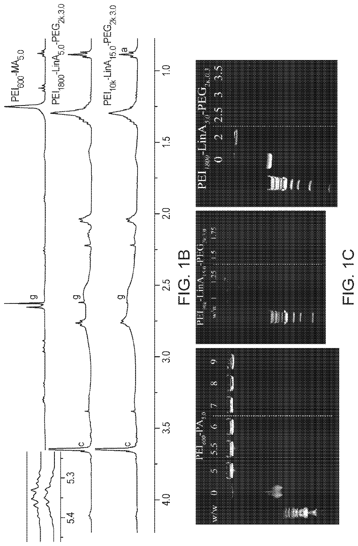 Polyethylenimine nanoparticles and methods of using same