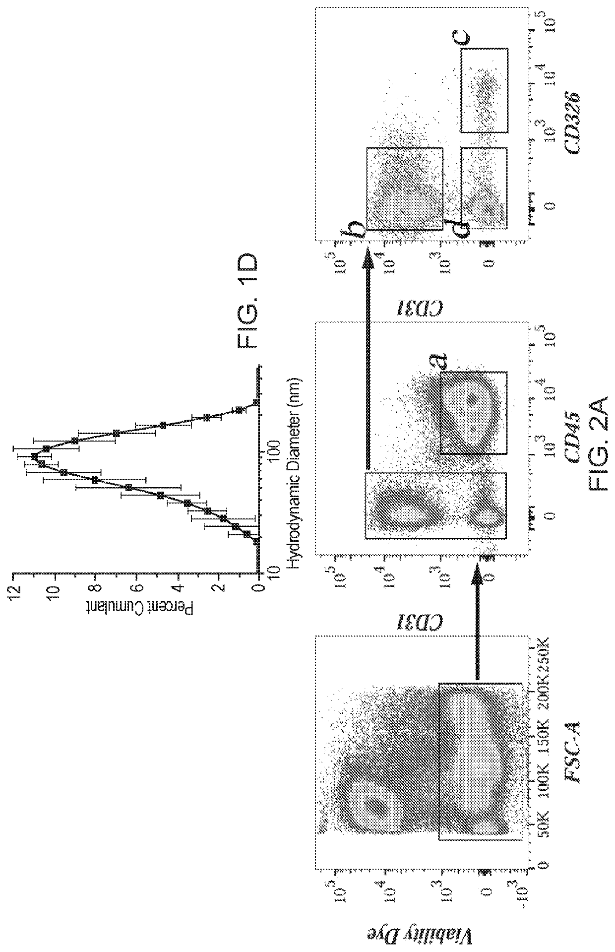 Polyethylenimine nanoparticles and methods of using same