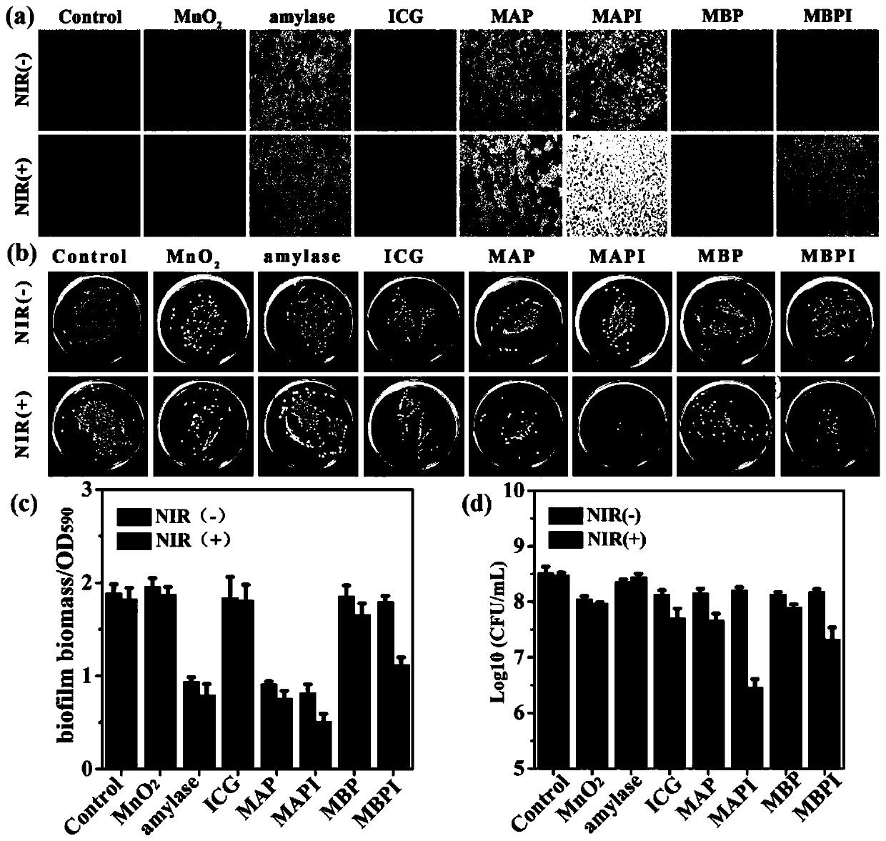 Nano composite material based on enzyme degradation enhanced photo-thermal removal of bacterial biofilms, and preparation method and application of nano composite material