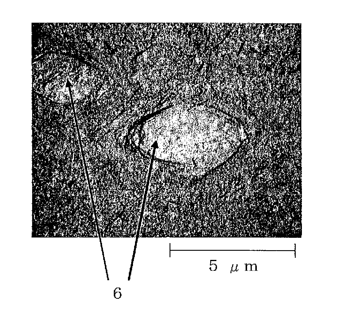 Biaxially oriented white polypropylene film, reflection plate and receiving sheet for thermal transfer recording