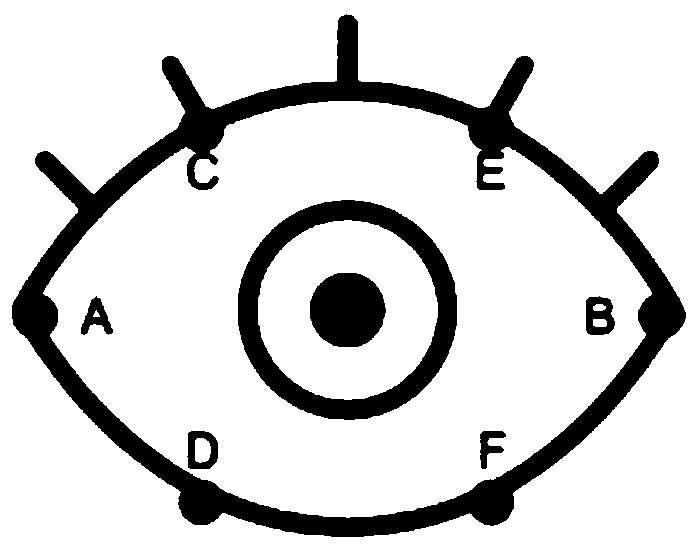 Face recognition method with living body detection function