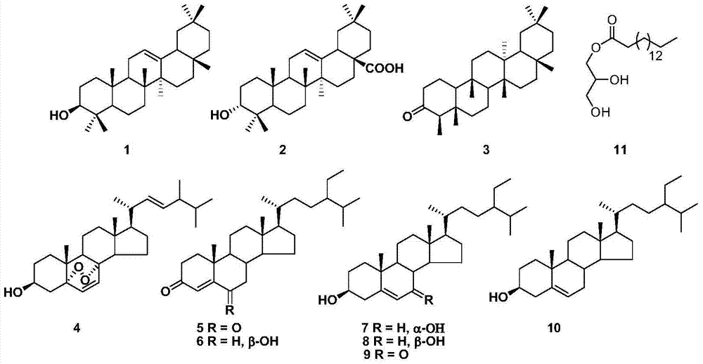 Preparation method of drypetes congestiflora stem extract