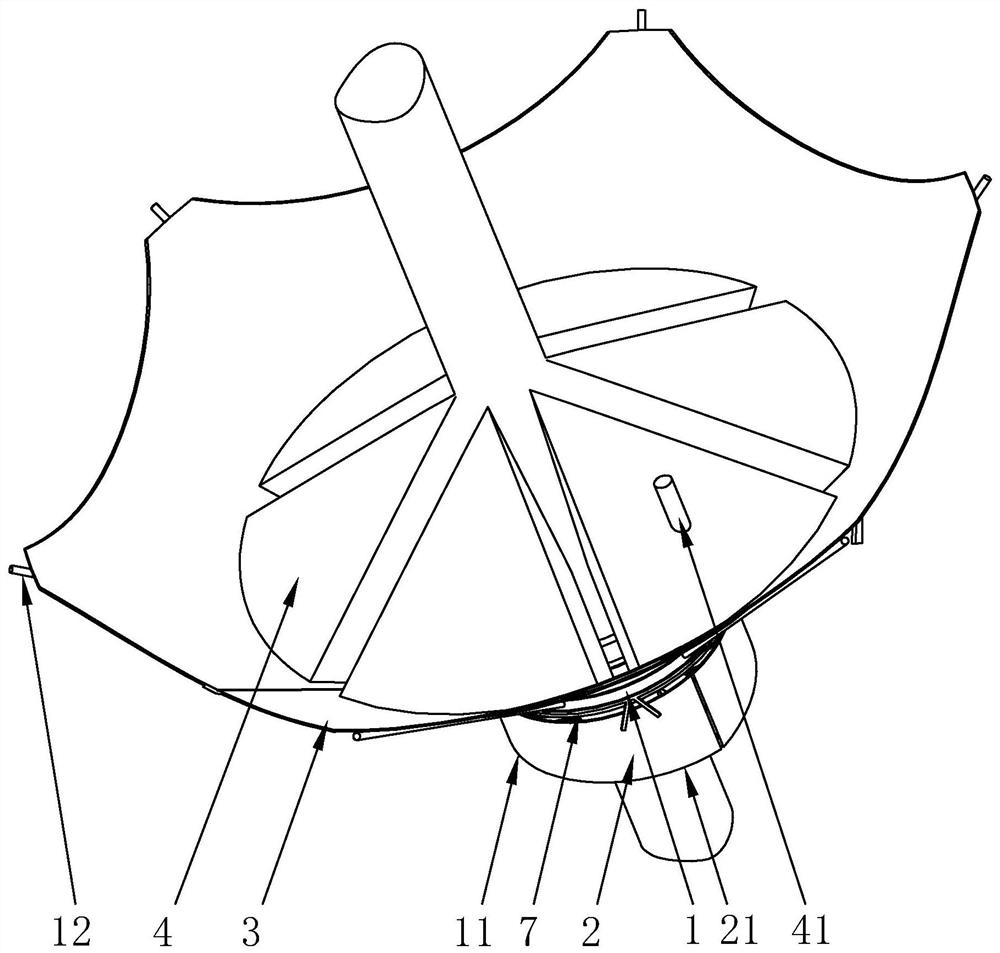 A protective device for collecting coniferous tree seeds with the function of removing impurities