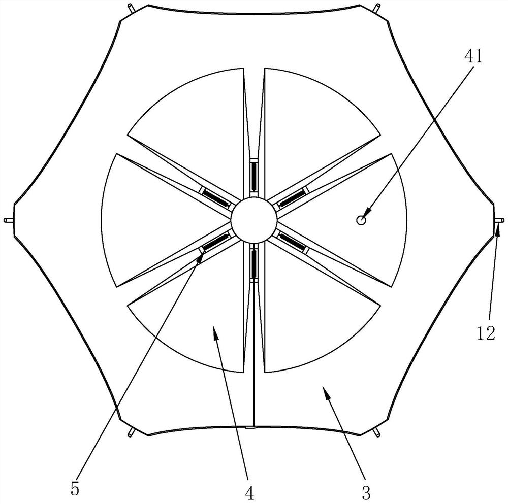 A protective device for collecting coniferous tree seeds with the function of removing impurities