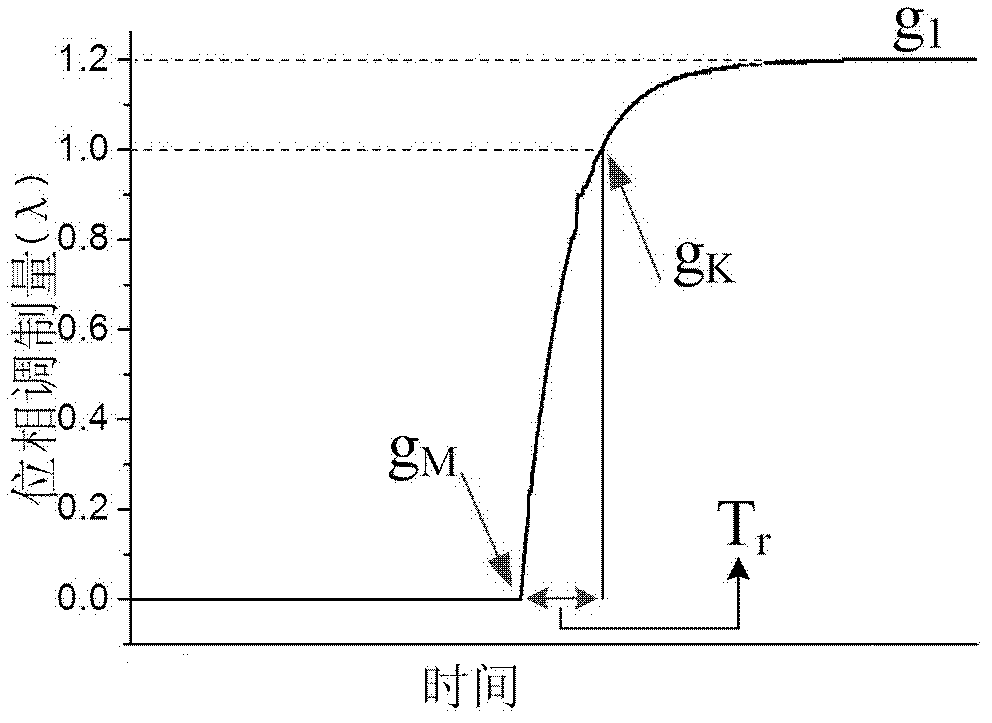 Transitional grey level driving method for increasing response speed of liquid crystal wave-front corrector