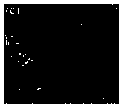 Preparation method of alkali lignin-based porous carbon fiber and tin oxide composite nano material