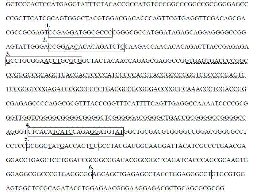 Method for qualitatively detecting HLA-B*1502 gene with PCR-SSP method and clinical kit