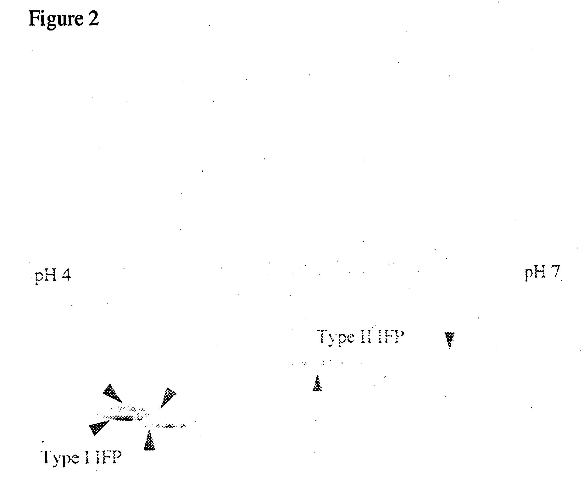 Electrophoresis separation methods