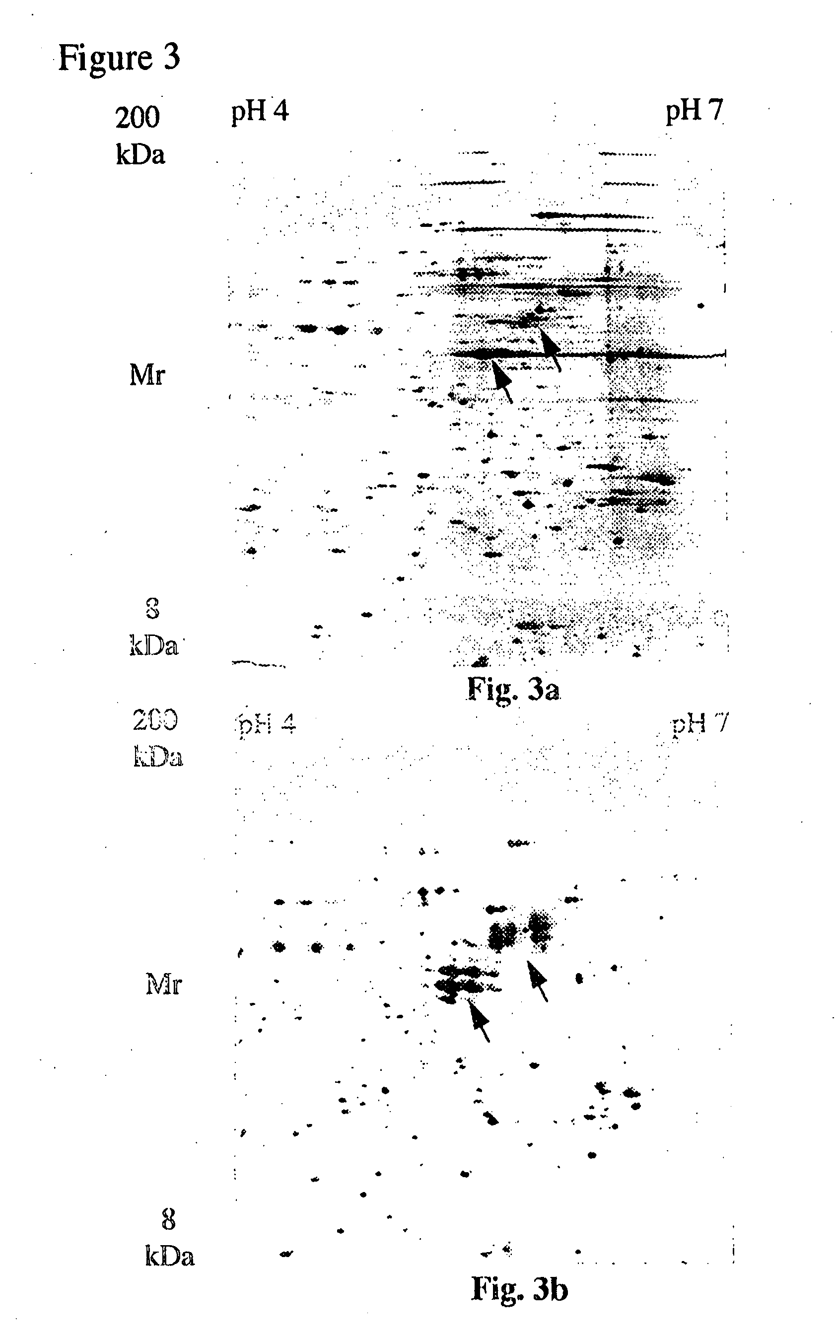 Electrophoresis separation methods