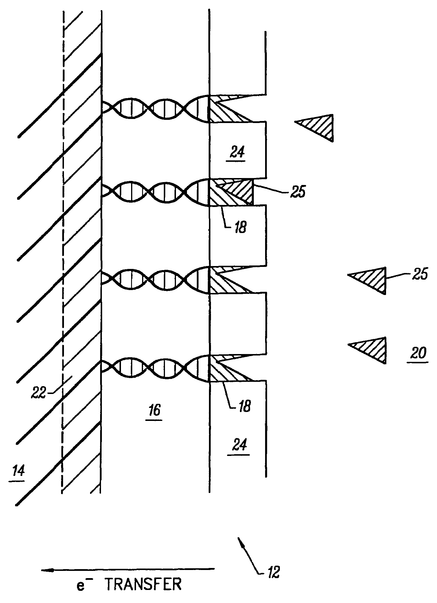 Molecular wire injection sensors