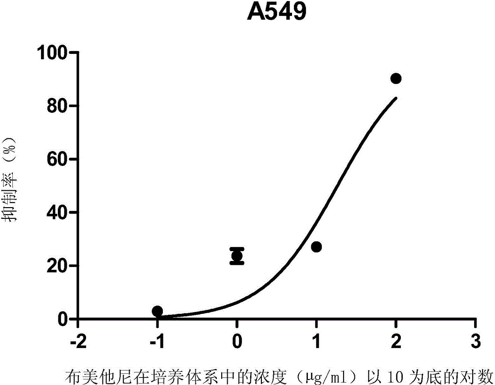 Applications of bumetanide in inhibition of tumor cell proliferation