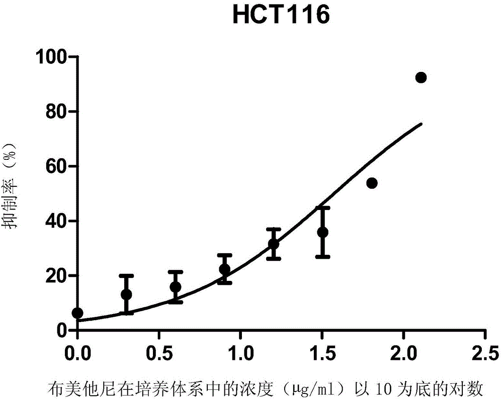 Applications of bumetanide in inhibition of tumor cell proliferation