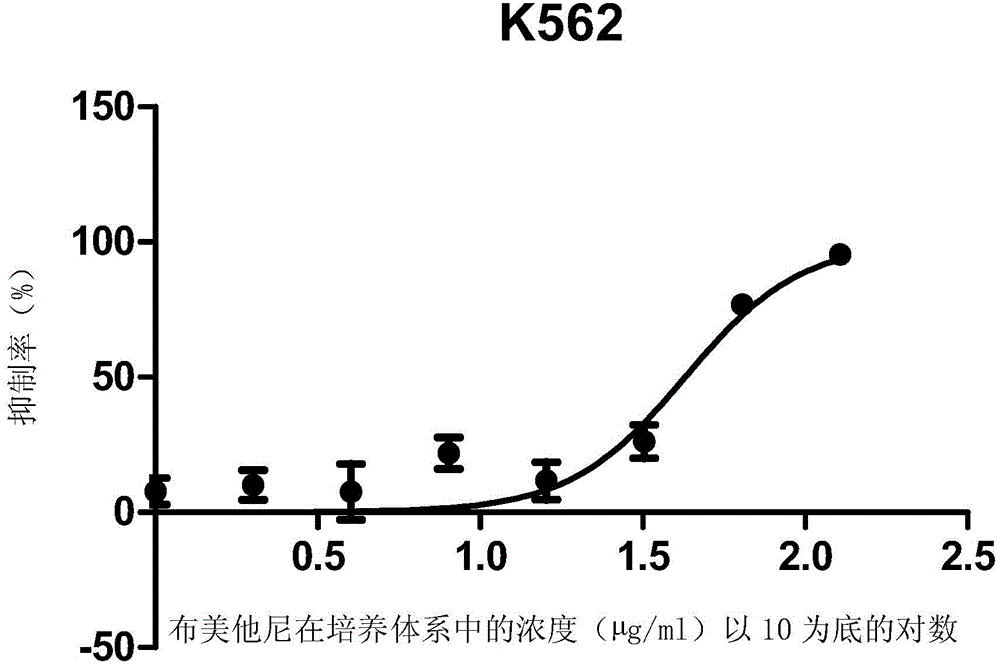 Applications of bumetanide in inhibition of tumor cell proliferation