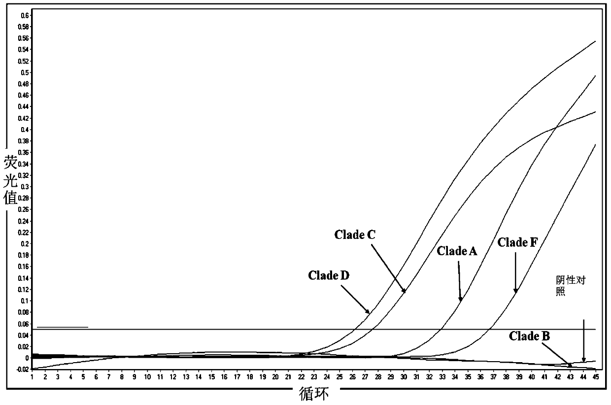 A method for establishing technical indicators of coral free and endoparasitic symbiodinium abundance and coral bleaching warning coefficient h