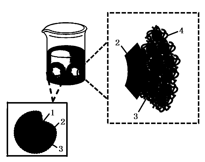 Hollow magnetic polymer composite microsphere, and preparation method and application thereof