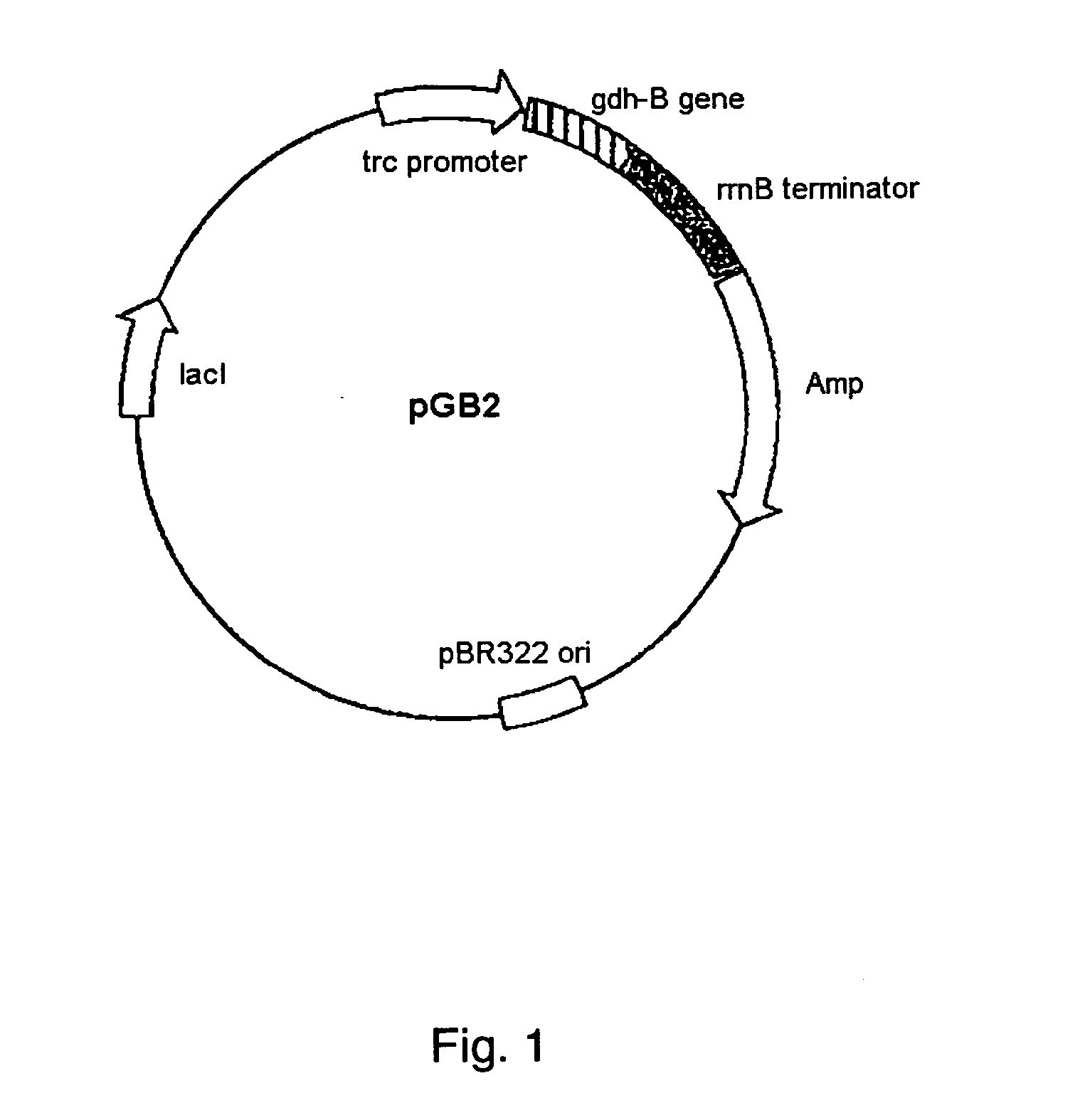 Glucose dehydrogenase