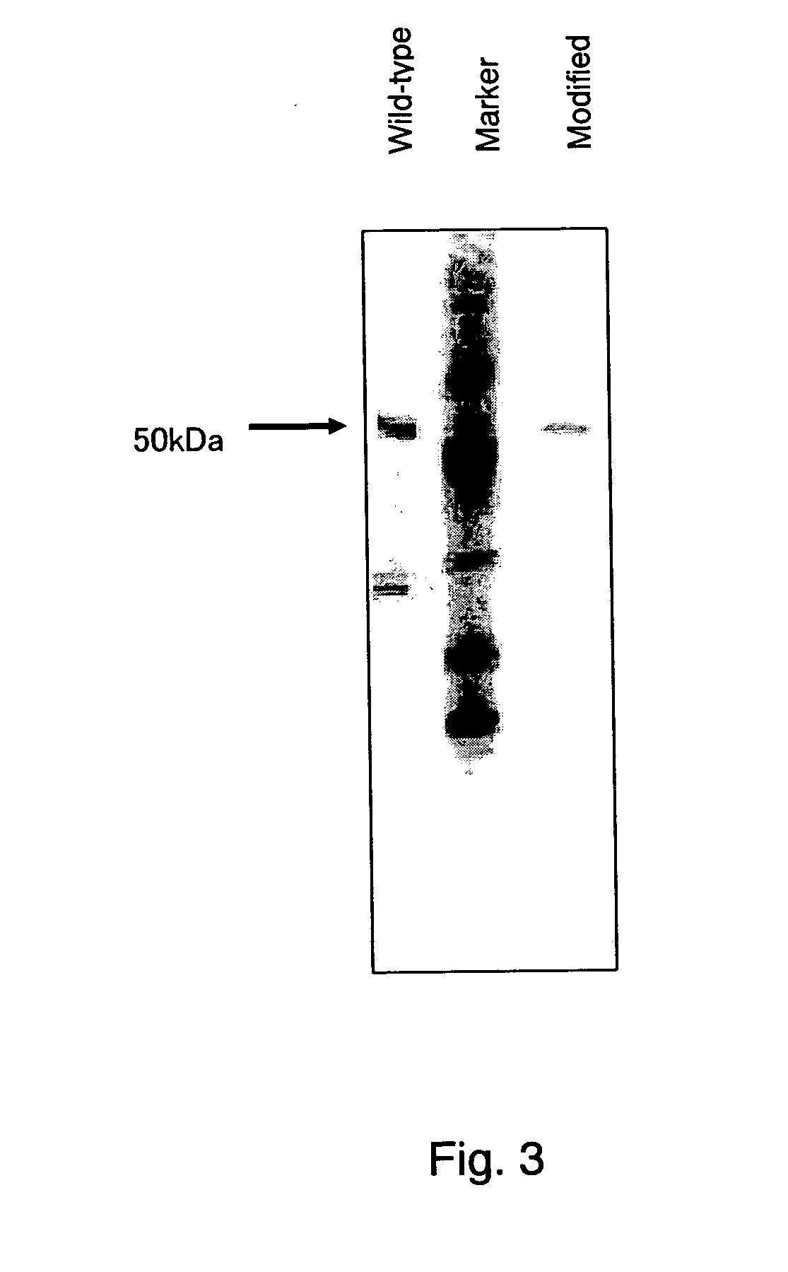 Glucose dehydrogenase