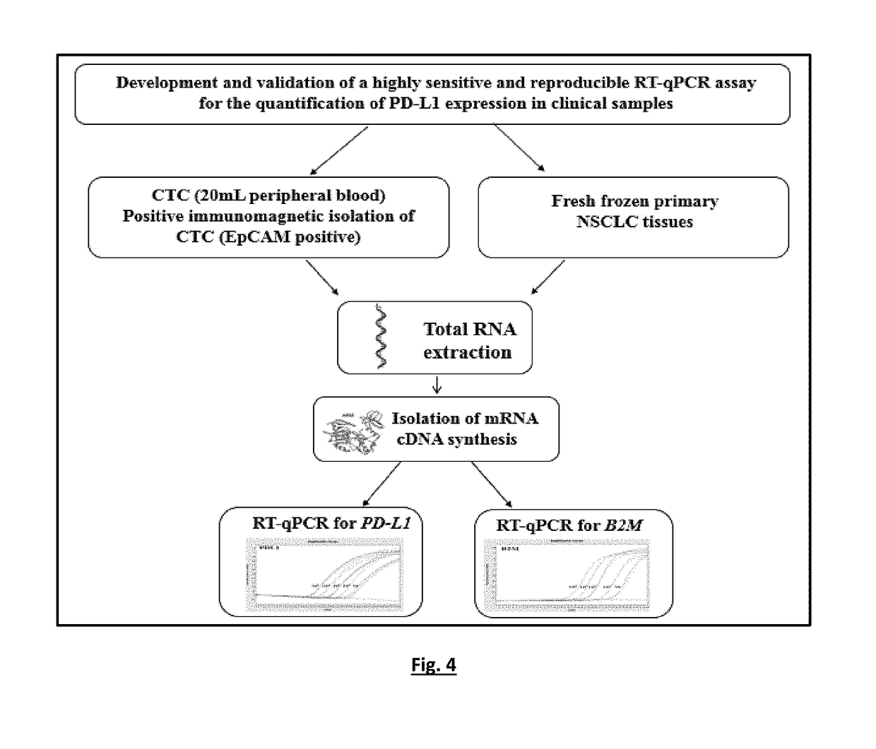 Method for the quantification of pd-l1 expression