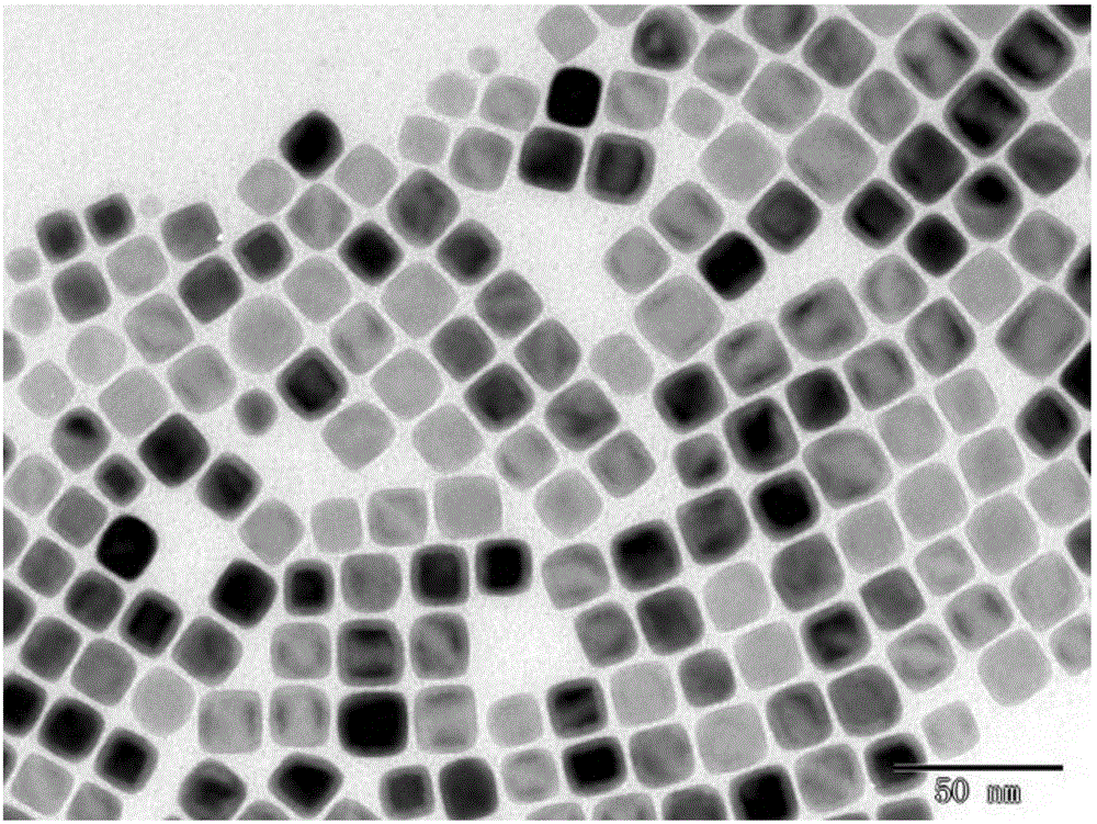 Super-low field nano magnetic probe, manufacturing method thereof and applications