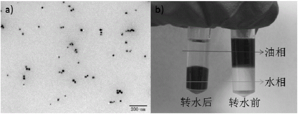 Super-low field nano magnetic probe, manufacturing method thereof and applications