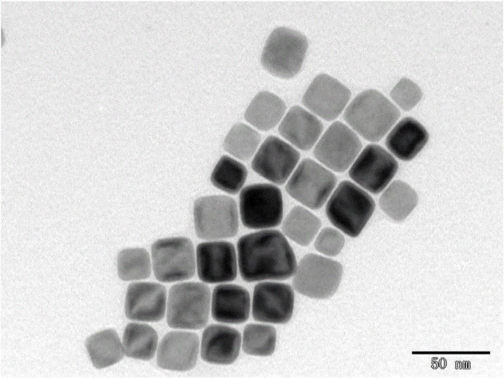 Super-low field nano magnetic probe, manufacturing method thereof and applications