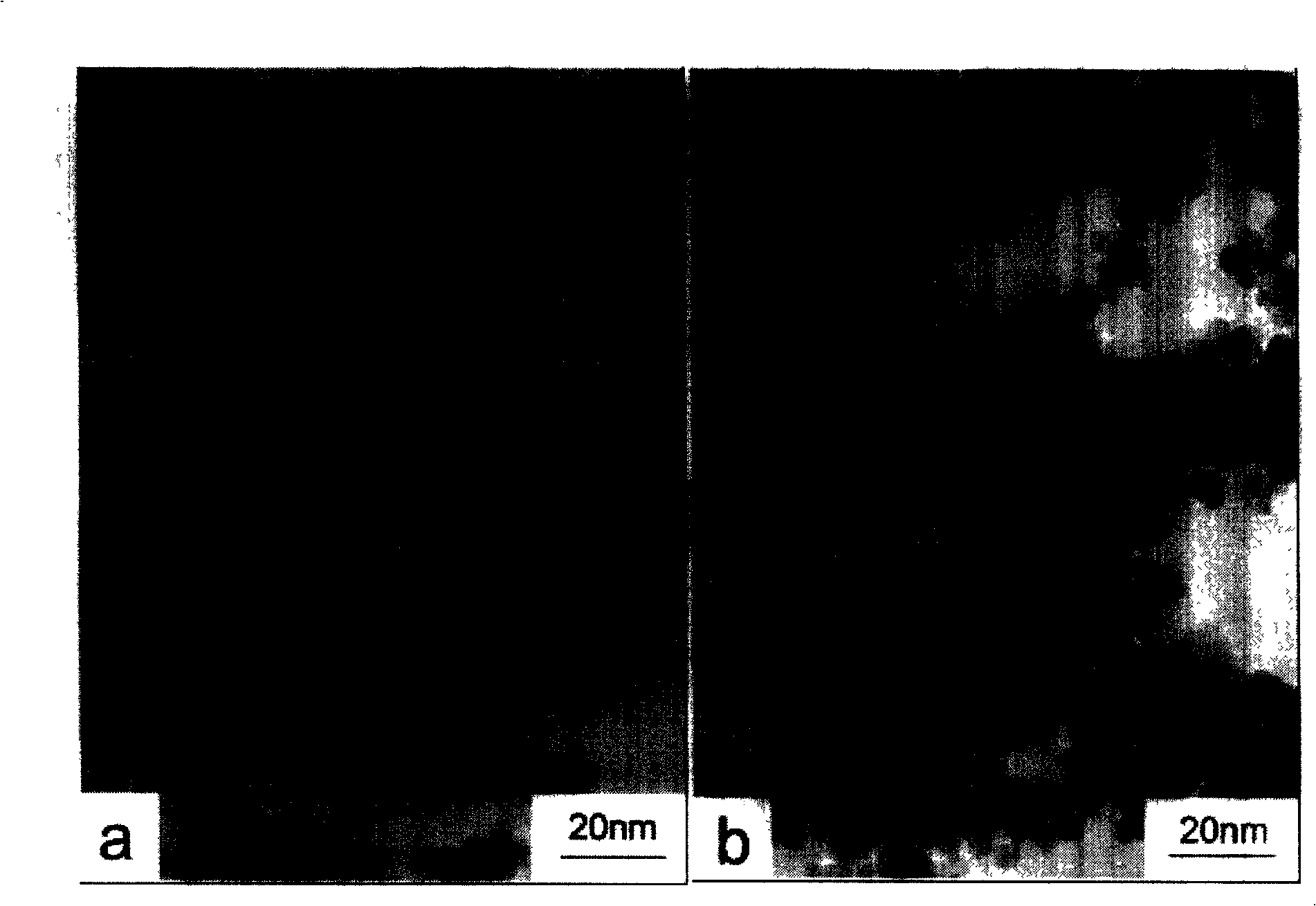 Method for manufacturing nano-ferrous acid in supercritical water