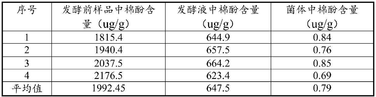 Application of mucor circinelloides in gossypol degradation