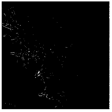 High-thermal conductivity lubricating oil and preparation method thereof