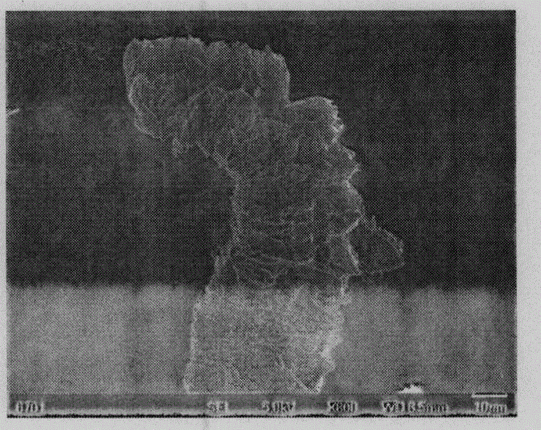 Method for preparing low-sulfur expandable graphite from medium-low carbon fine flake graphite