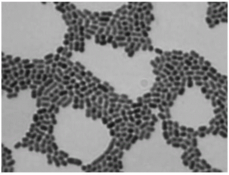 Acinetobacter johnson aj-3 strain and use thereof