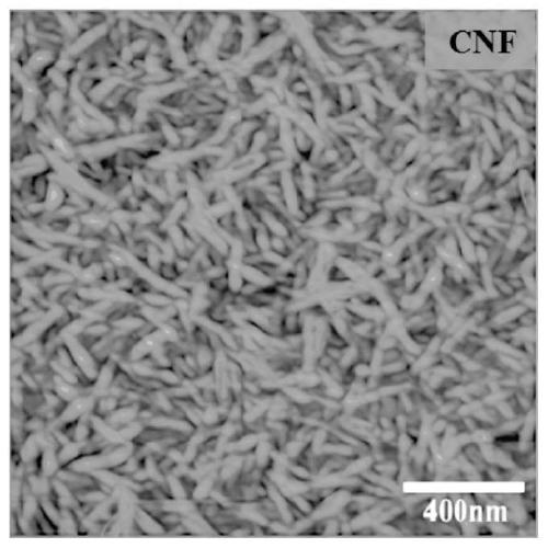 Preparation and application of ATO heat insulation film based on natural cellulose nanofibers