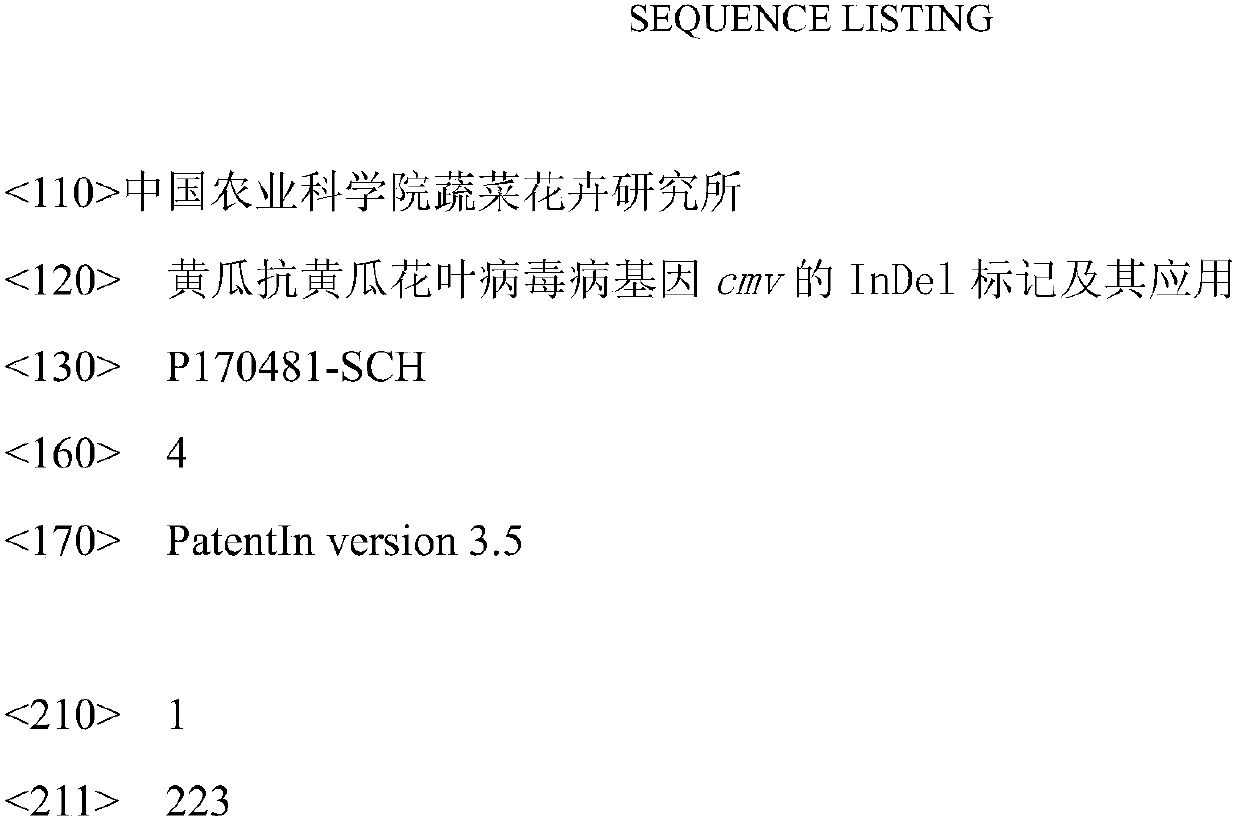 InDel marker of cucumber anti-cucumber-mosaic-virus-disease gene cmv and its application