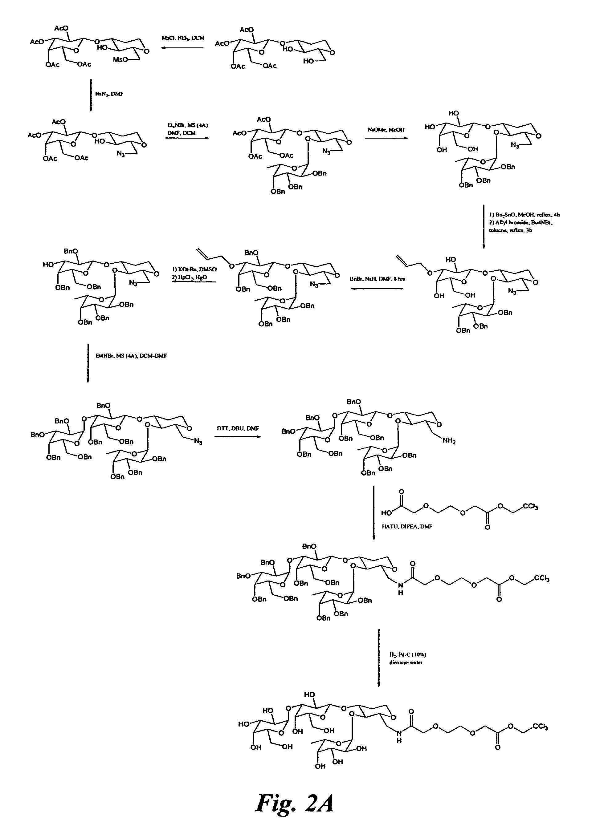 Glycomimetic inhibitors of the PA-IL lectin, PA-IIL lectin or both the lectins from Pseudomonas