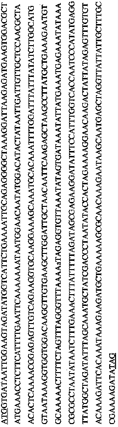 Bacteriophage lytic enzymes as alternative antimicrobials