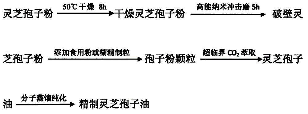 High-bioactivity ganoderma spore oil and supercritical preparation method thereof