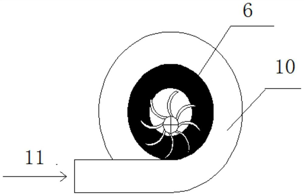 Water ring vacuum system with coil pipe condensation cylinder