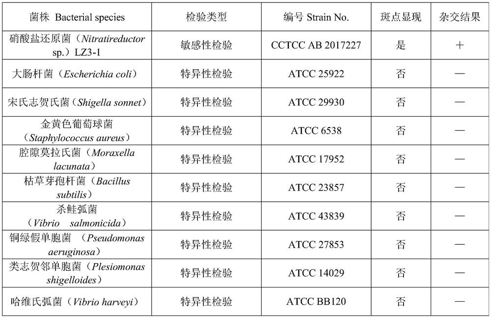 A method for rapid screening of microbial strains producing gonitoxin and the used digoxin-labeled dna probe