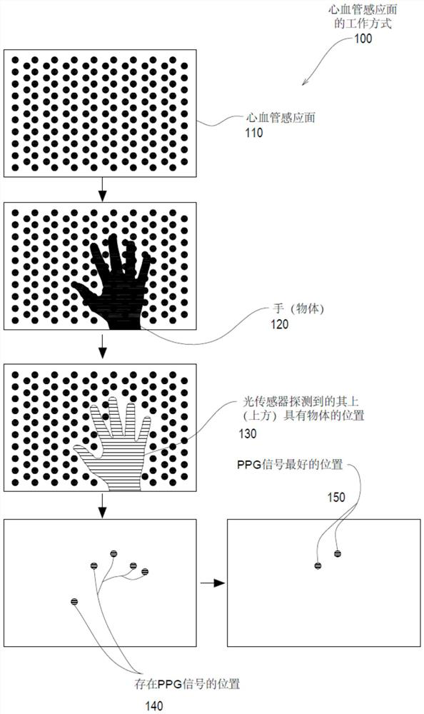 Cardiovascular health monitoring device