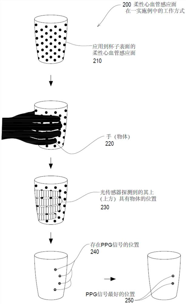 Cardiovascular health monitoring device