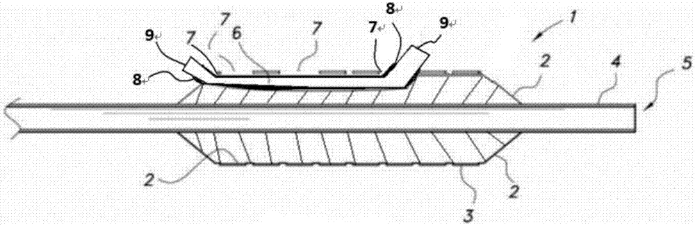 Vascular stent system and application method thereof