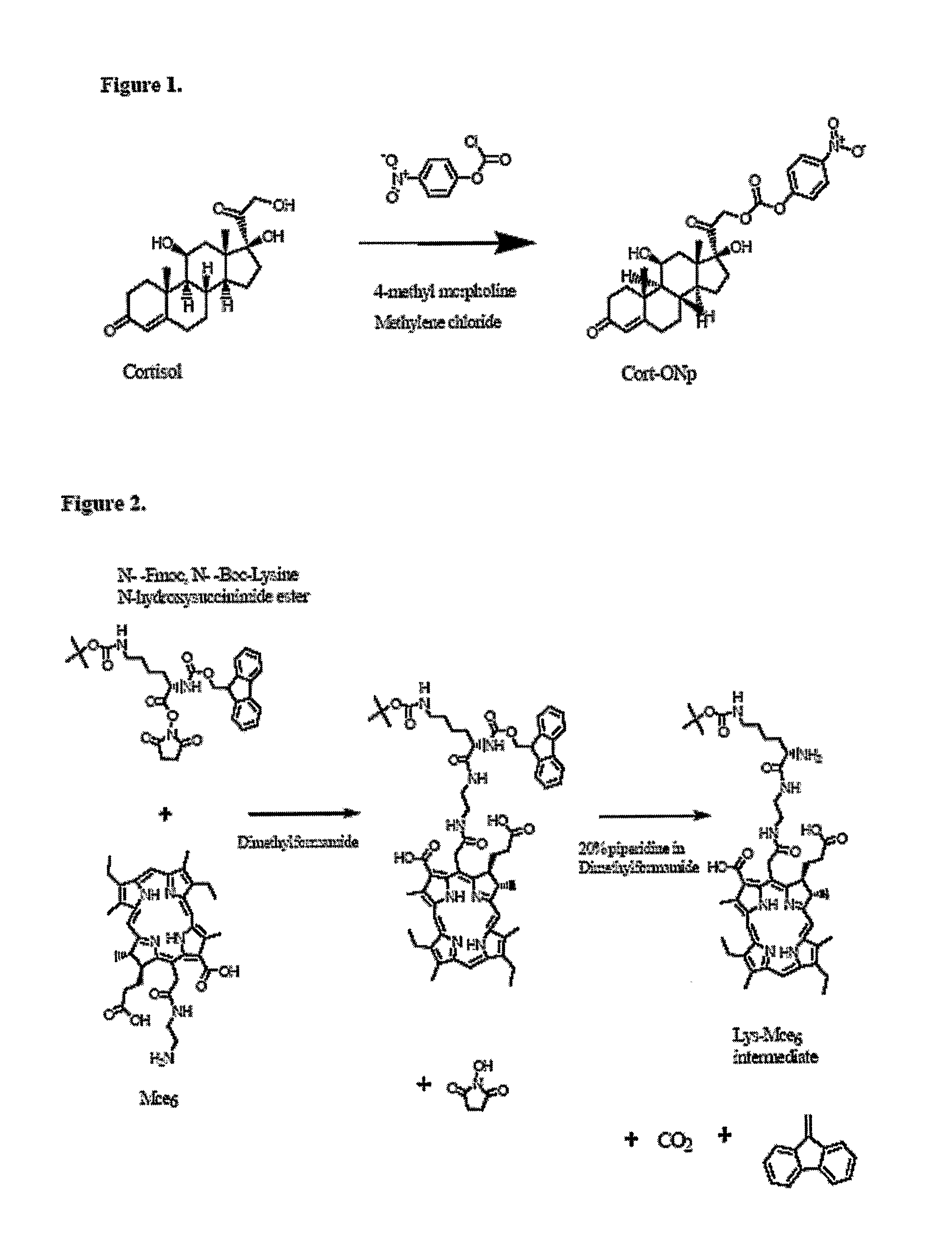 Combined Active and Passive Targeting of Biologically Active Agents