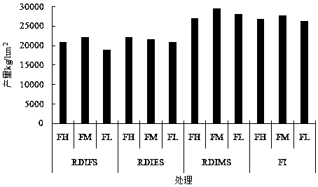 Underground continuous irrigation and fertilization method for increasing yield of mangos and improving quality of mangos