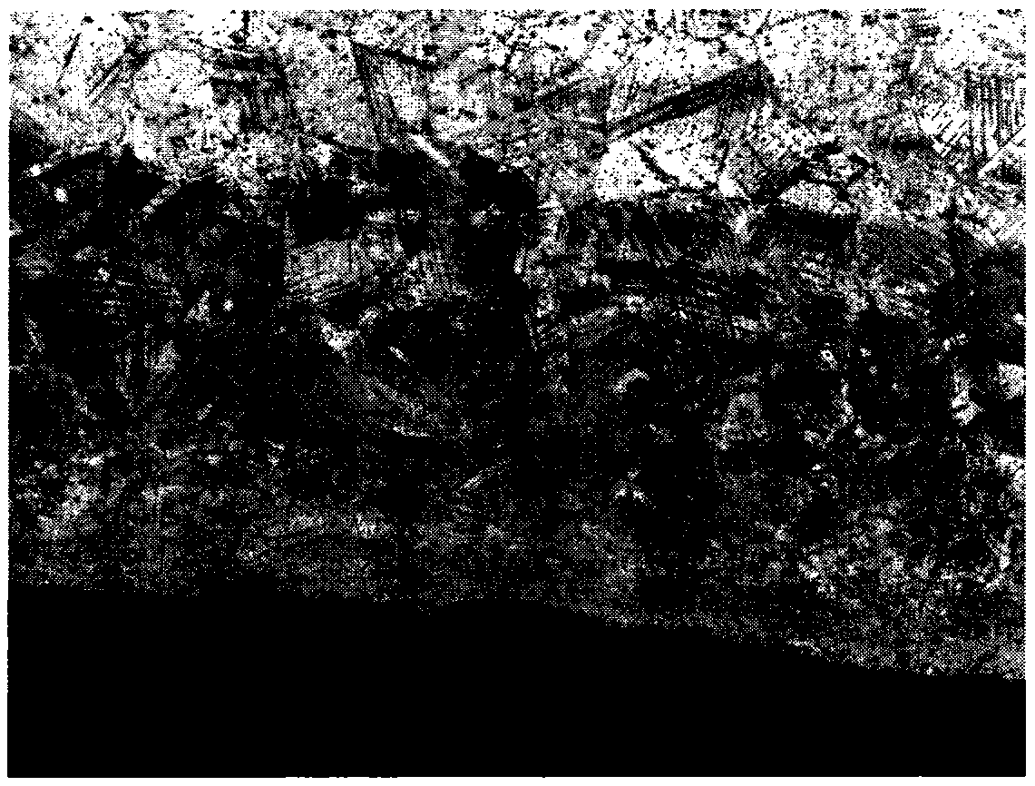 A corrosive agent showing the slip zone structure of the shot peening layer