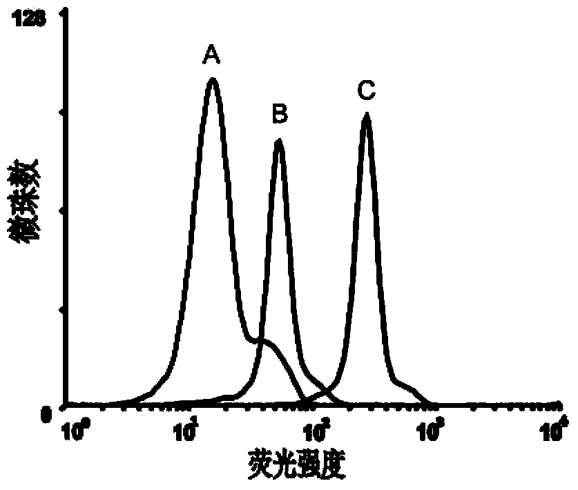 Aptamer EpCAM (epithelial cell adhesion molecule) D of EpCAM and preparation method thereof