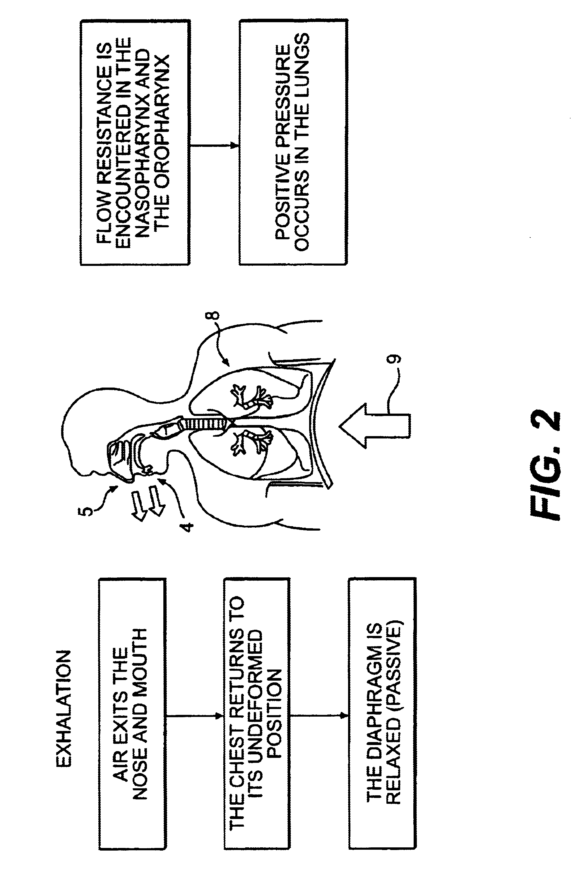 Mechanical lungs